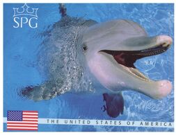(N 13) Australia - Dolphin (SPG - USA With Flag) - Dauphins