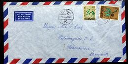 Icelands 1966 Cover To Denmark (   Lot 2016 ) - Lettres & Documents