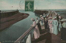 Delcampe - 14 - COURSEULLES - Les Jetées à Marée Basse - Courseulles-sur-Mer