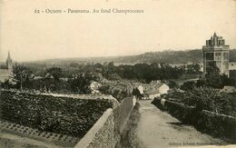 Oudon * Panorama De La Commune * Au Fond , Champtoceaux - Oudon