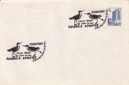 ANIMALS, BIRDS, BLACK TAILED GODWIT SPECIAL POSTMARK, HOTEL STAMP ON COVER, 1993, ROMANIA - Cigognes & échassiers