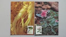 UNO-New York 600/1 MC Maximumkarte,  Madagaskar-Immergrün (Catharanthus Roseus), Amerikanischer Ginseng - Briefe U. Dokumente