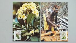 UNO-Genf 186/7 MC Maximumkarte, Frangipani (Plumeria Rubra), Chinarindenbaum (Cinchona Officinalis) - Storia Postale