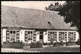 DEURLE   GASTHOF OUWE HOEVE   KOFFIEHUIS  TERRAS   DORP 26  FOTOKAART - Sint-Martens-Latem