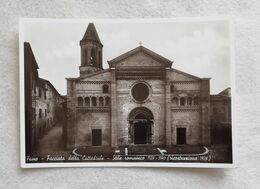 Cartolina Illustrata Fano - Facciata Della Cattedrale, Non Viaggiata - Fano