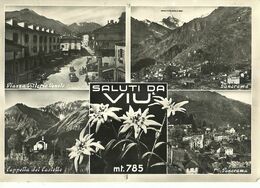 9132 "SALUTI DA VIU' " 4 VEDUTE-STELLE ALPINE- CART. POST.  ORIG. SPED.1955 - Souvenir De...