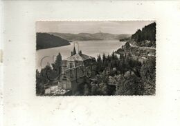 Schluchsee (Allemagne, Bade-Wurtemberg) : Blick Zum Café Hubertus  Im 1957 PF. - Schluchsee