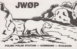 1982. SVALBARD. Radio-card. POLISH POLAR STATION - HORNSUND - SVALBARD. POLAR BEAR. () - JF365670 - Other & Unclassified