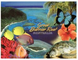(N 20 A) Australia - QLD - Great Barier Reef (with Turtle) - Great Barrier Reef