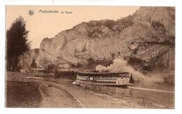 CPA NELS - Profondeville - Le Tunnel - Le Bâteau De Touristes - La Meuse. - Profondeville