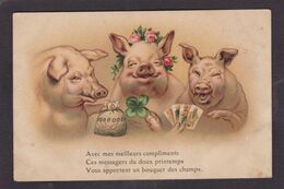 CPA Cochon Pig Position Humaine Non Circulé Jeu De Cartes Carte à Jouer - Cerdos