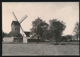 SINT MARTENS LATEM  - FOTOKAART  HOUTEN STANDAARDWINDMOLEN   - MOLEN MOULIN - Sint-Martens-Latem