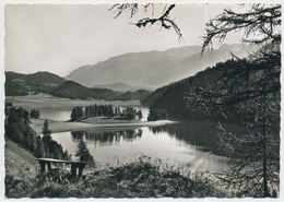 Champfersee Von Oberhalb Silvaplana - Ober Engadin - Silvaplana