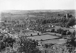 21-MONTBARD- VUE GENERALE PISE DES BORDES - Montbard