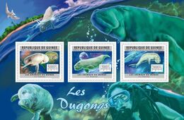 Guinea 2011, Animals, Dugongs, Diving, 3val In BF - Duiken