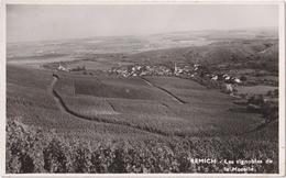 Remich - Les Vignobles De La Moselle - Remich