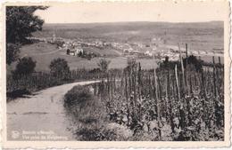 Remich S/Moselle - Vue Prise Du Galgenberg - Remich