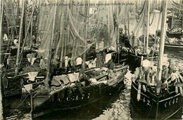 Ile D'yeu * Coin Du Port Après Une Rentrée De Pêche * Bateaux Pêcheurs - Ile D'Yeu