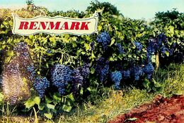 (Booklet 106) Australia - SA (older) Renmark (grapes) - Other & Unclassified