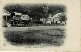 * Lesotho - Lessouto - L' Ancien Wagon - Lesotho