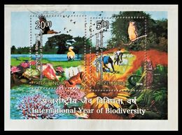 137. INDIA 2010 USED STAMP M/S (MINIATURE SHEET) INTERNATIONAL YEAR OF BIO DIVERSITY, BIRDS, OWLS, FARMERS. - Oblitérés