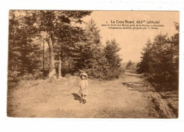 LIERNEUX - Le Croix Nivert - Forêt Des Hovas - Desaix - Lierneux