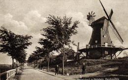 Haseldorf In Holstein, Deichmühle, Um 1910/20 - Pinneberg