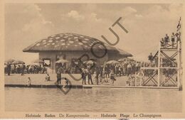 Postkaart-Carte Postale - HOFSTADE-BADEN - De Kampernoelie  (B776) - Zemst