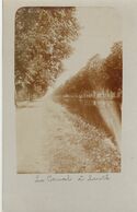 Fotokaart - Carte Photo - LEUT/MAASMECHELEN - Le Canal à Leuth (B700) - Maasmechelen