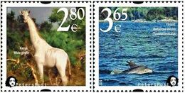 Finland. Peterspost. Fauna. Wild Life. "Memorable Facts", White Giraffe And Bottlenose Dolphin, 2020, Set Of 2 Stamps - Ongebruikt