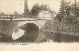 Lier / Lierre :  La Porte De Malines 1906 - Lier