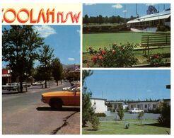 (N 28) Australia - NSW - Coolah (Bowling Club Etc)   (SPN406) - Boliche