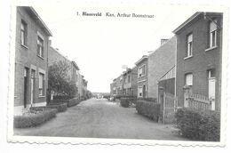 Blaasveld - Kan. Arthur Boonstraat - Uitgave Ed. Adriaens (Tabak-Likeuren) - Willebroek