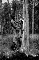 Les Landes * Résinier Au Travail * Résine Métier - Autres & Non Classés