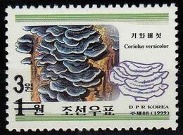 Korea(north)-2006, Mushrooms, Surcharge Of New Value (complete Set), MNH** - Pilze