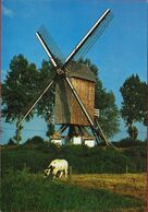 Windmolen Lembeke Westermolen Kaprijke Windmill Moulin A Vent 1984 (In Zeer Goede Staat) - Kaprijke