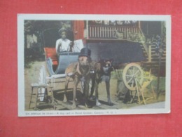 Dog Cart  With Hats Canada    Ref  4363 - Hunde