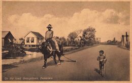 BRITISH GUYANA~GEORGETOWN-DEMERARA~ON THE ROAD~MAN RIDES BUFFALO & NATIVE BOY WALKS-PHOTO POSTCARD 48851 - Sonstige