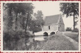 Delcampe - Lier Het Spui (In Goede Staat) - Lier