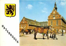 59-HAZEBROUCK- LE MUSEE , LE MARCHE AUX CHEVAUX - Hazebrouck