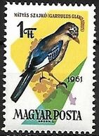 Hungary - MNH ** 1961 :   Eurasian Jay  -  Garrulus Glandarius - Songbirds & Tree Dwellers