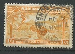 Sierra Leone  Yvert N°  167 Oblitéré  -   Az 28019 - Sierra Leona (...-1960)