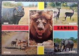 Zambia 1972 - Zambia