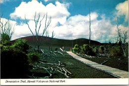 Hawaii Big Island Hawaii Volcanoes National Park Devastation Trail - Big Island Of Hawaii