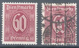 Germany Deutsches Reich 1921 Dienstmarke Mi#66 And B, Mint And Used - Service