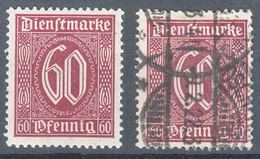 Germany Deutsches Reich 1921 Dienstmarke Mi#66 And B, Mint And Used - Dienstzegels