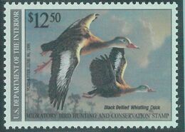 90223b -  USA - STAMPS: SCOTT # RW57  Migratory Bird Hunting Stamp MINT MNH 1990 - Duck Stamps