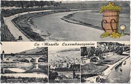 La Moselle Luxembourgeoise - Wasserbillig - Grevenmacher - Remich - Remich