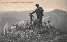 Auf Der Bonderspitze Bei Adelboden -  Schäfer -  Ziege -  Ziegenherde - - Adelboden