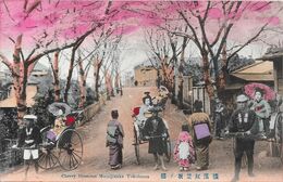 Cherry Blossoms  Momijizaka, Yokohama - Yokohama